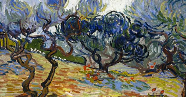 ulivi van gogh