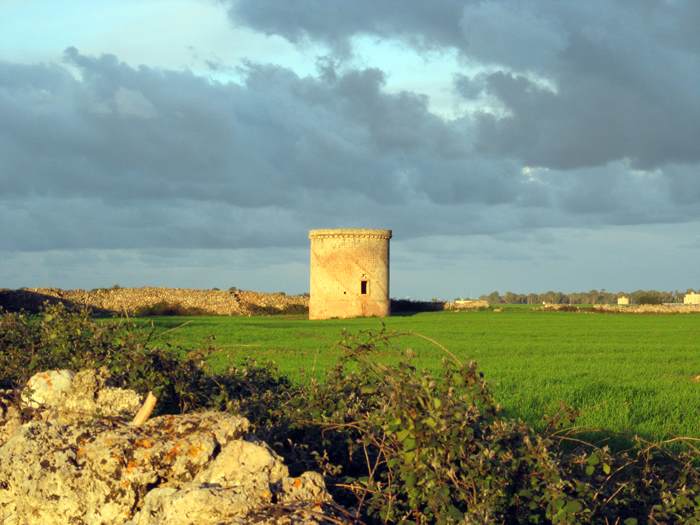 masseria mendule torre