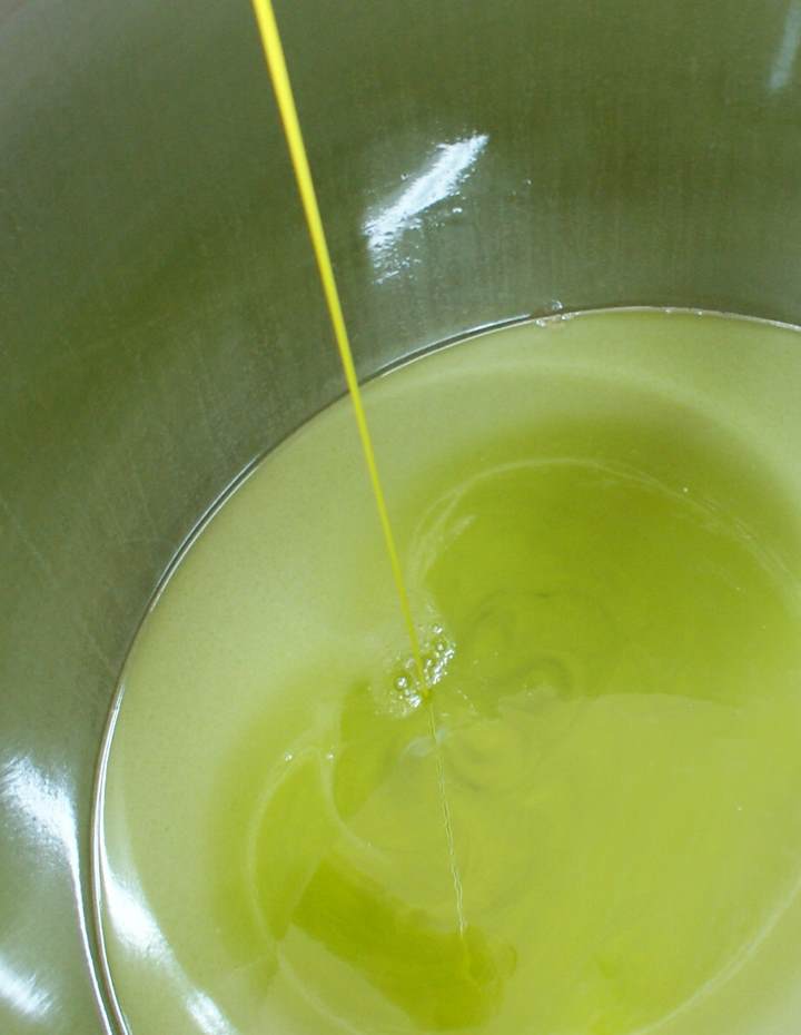 produzione olio extravergine melcarne