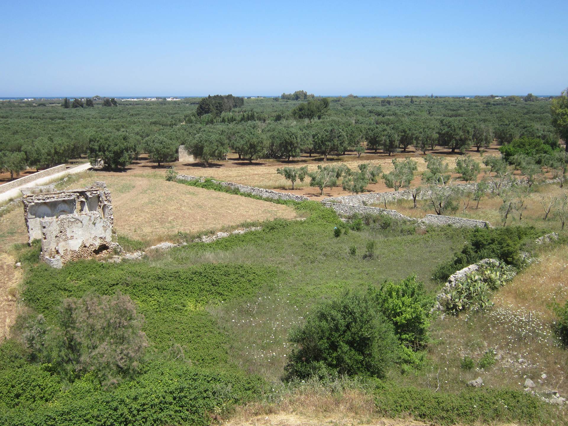 Masseria di Rauccio