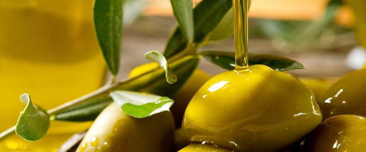 produzione d'olio extravergine d'oliva Salentino