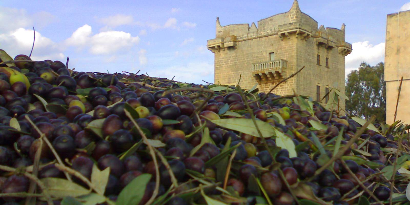 olive salento masseria melcarne