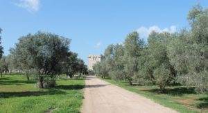 Pasquetta 2019